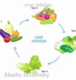 crop rotation